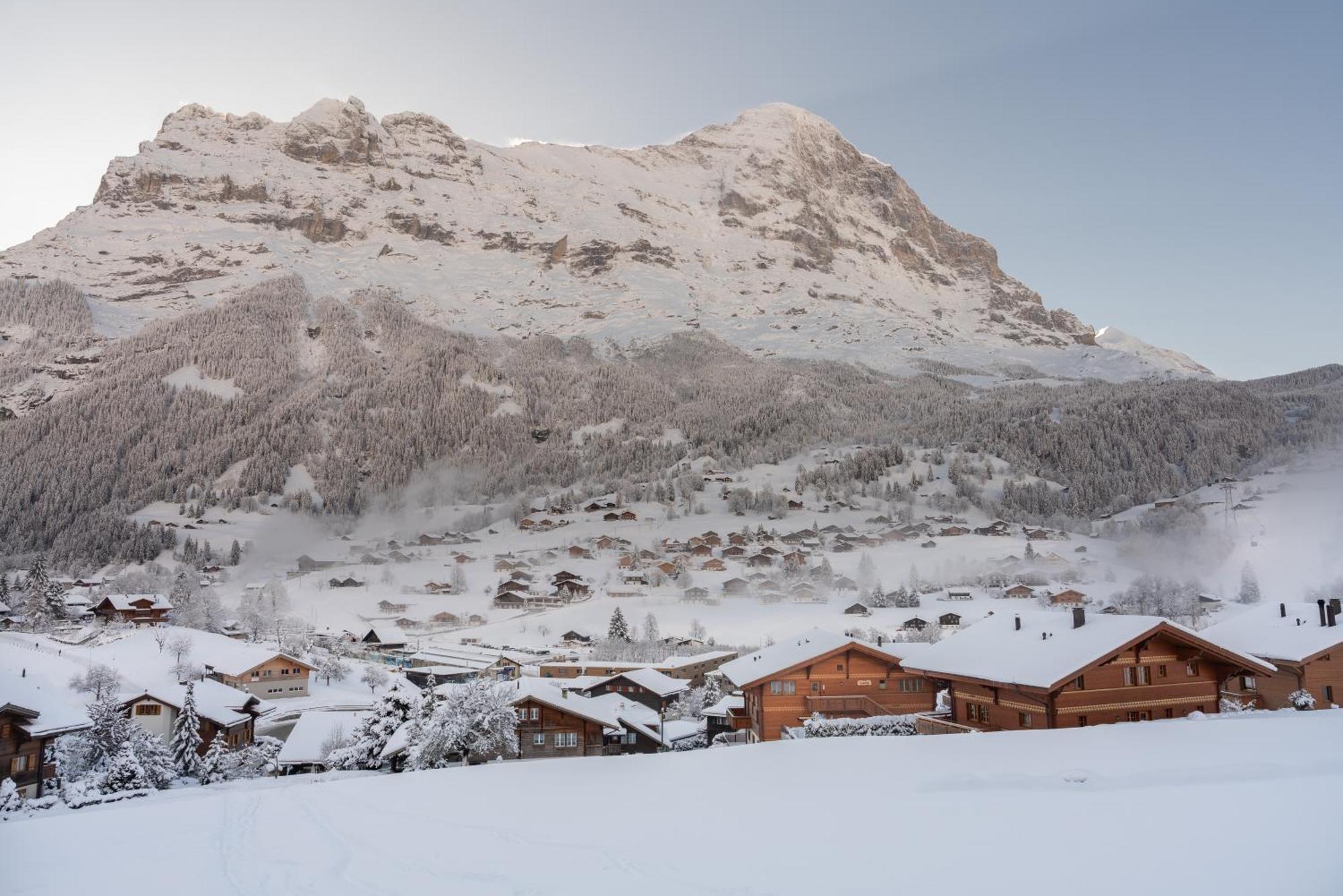Chalet Alia And Apartments-Grindelwald By Swiss Hotel Apartments 외부 사진