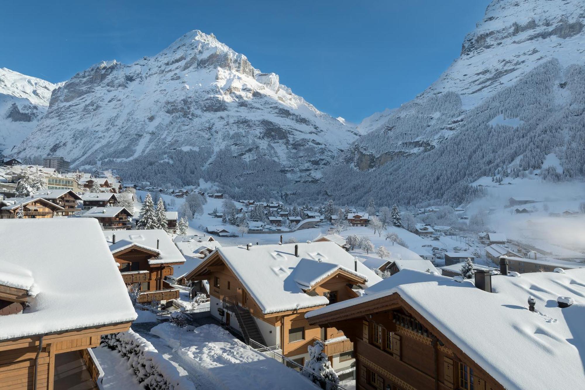 Chalet Alia And Apartments-Grindelwald By Swiss Hotel Apartments 외부 사진